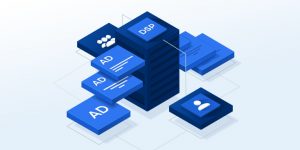 Read more about the article What is the difference between DSP and SSP?