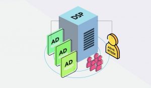 Read more about the article What is the difference between DMP and DSP?